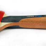 Load image into Gallery viewer, GEWO - CS Energy Carbon
