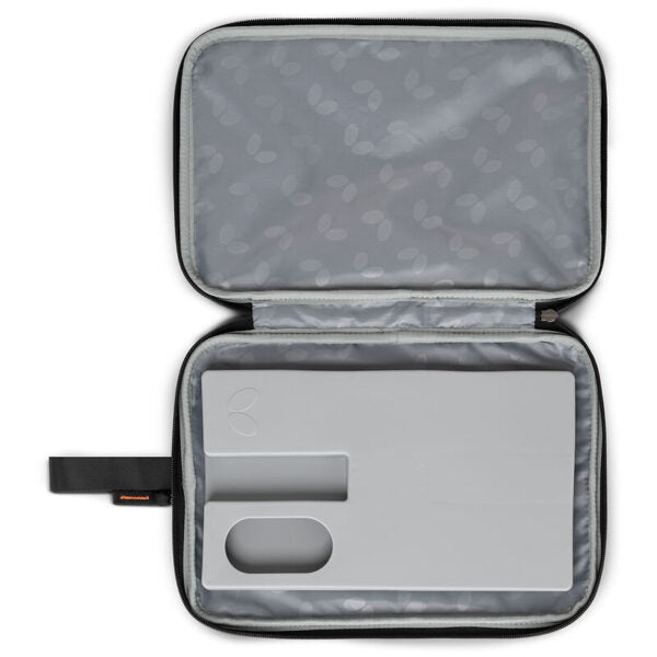 BUTTERFLY - Kashiwa Double