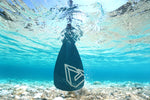 Load image into Gallery viewer, AQUA MARINA - Carbon Guide Paddle
