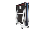 Load image into Gallery viewer, BUTTERFLY - Centrefold 25+ ITTF
